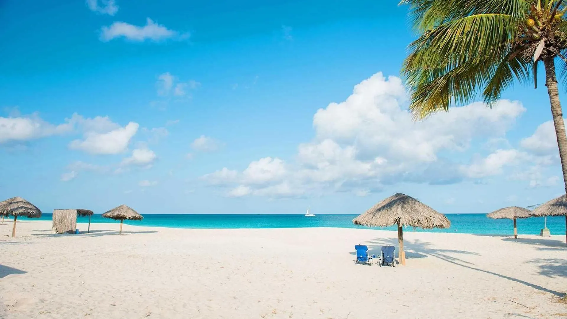Beachfront - Best View 2Br Condo - E422-2 شاطئ بالم 0*,